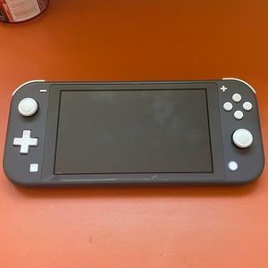 Gray Nintendo Switch Lite